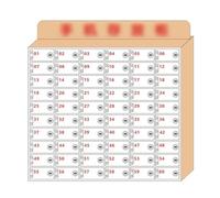 Armario de pared para teléfono móvil con 30 ranuras, gabinete de almacenamiento transparente para aula y escuela, acceso seguro y almacenamiento seguro para una fácil gestión del teléfono, 60 ranuras