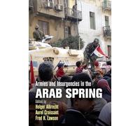 Armies and Insurgencies in the Arab Spring