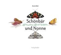 Armin Dett Schönbär und Nonne: Licht ins geheime Leben der Nachtfalt (Tapa dura)