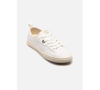 Armistice NOVO ONE W 36 Blanco