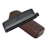 Armónica Cromática Arpa Órgano De Boca De 12 Agujeros Cubierta De ABS Semimate Hermosa Música Regalar