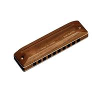 Armónica de 10 agujeros 20 melodías armónica de blues de lujo clave de C para principiantes