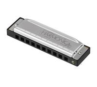 Armónica de 10 agujeros 20 melodías órgano de boca armónica de blues de lujo clave de C para(Silver)