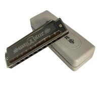 Armónica de cisne negra con 10 agujeros, arpa diatónica, llave de órgano de boca C, instrumento musical