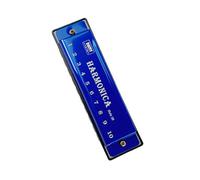 Armónica de metal de 10 orificios Armónica de fácil limpieza adecuada para aprender y tocar fácilmente en cualquier estilo musical Bolsillo portátil