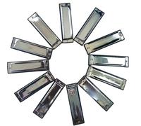 Armónica Diatónica De Blues De Viento Madera De 10 Agujeros(Sliver Color bB Key)