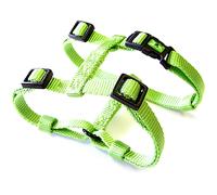 Arn s de nailon ajustable y c modo para perros Hamilton, color verde lima, 2,5 cm x 76-101 cm