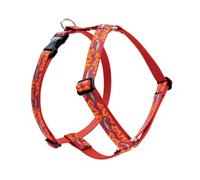 Arn s romano ajustable LupinePet Originals Go Go Gecko de 20 a 32 pulgadas para perros medianos