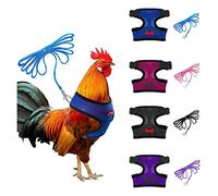 Arnés Ajustable de 4 Piezas con Correa, 4 Estilos, cómodo Chaleco de gallina, arnés de Entrenamiento de Malla Transpirable y Correa para Mascotas pequeñas de 2.5 a 3.5 Libras