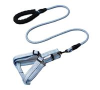 Arnés Ajustable for Perros, práctica Correa for Mascotas, Cuerda Redonda, cómoda, Segura y a la Moda(Blue,S)