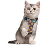 Arnés ajustable para mascotas, diseño de sol, luna, nubes, verde azulado