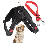 Arnés Ajustable para Perro Pequeño con Correa de Seguridad para el Coche. Arnes Antitirones, Reforzado. Seguro y Cómodo. Ideales para tu Mascota. (Small-R)