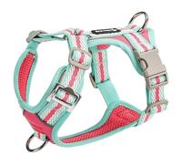 Arnés Ajustable para Perros, diseñado específicamente para Border Terrier, Este arnés Tipo Chaleco antitirones Cuenta con una Anilla en D metálica y una Malla Suave y Transpirable. D L