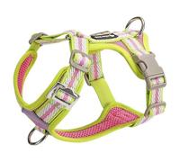 Arnés Ajustable para Perros, diseñado específicamente para Cavalier King Charles Spaniel, Este arnés Tipo Chaleco antitirones Cuenta con una Anilla en D metálica y una Malla Suave y Transpirable F XS