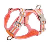 Arnés Ajustable para Perros, diseñado específicamente para Chinese Shar-Pei, Este arnés Tipo Chaleco antitirones Cuenta con una Anilla en D metálica y una Malla Suave y Transpirable. B M