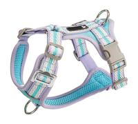 Arnés Ajustable para Perros, diseñado específicamente para Papillon, Este arnés Tipo Chaleco antitirones Cuenta con una Anilla en D metálica y una Malla Suave y Transpirable. A M