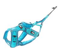 Arnés ajustable para perros I-DOG X-Back Phoenix ALM M
