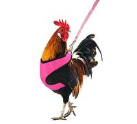 Arnés ajustable para pollo YUEPET con correa elástica, cómodo y transpirable para mascotas, para paseo, gallina de pato y gallina, pequeño