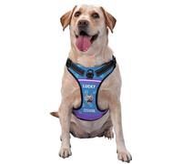 Arnés Antitirón para Perros Personalizado con Nombre y Número de Teléfono, Chaleco Personalizado para Mascotas, Chaleco Ajustable y Reflectante para Perros Pequeños, Medianos y Grandes (S-XL)