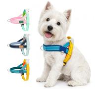 Arnes Antitirones para Perro Pequeños con Asa, Amarillo-Azul, L