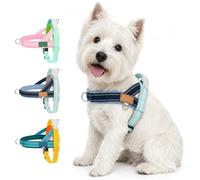 Arnes Antitirones para Perro Pequeños con Asa, Azul-Verde XL