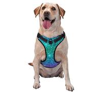 Arnés antitirones para Perros con Hermoso patrón de Destellos turquesas Brillantes, arnés para Mascotas con Anillos y Correa, Chaleco Reflectante Oxford Ajustable para Exteriores