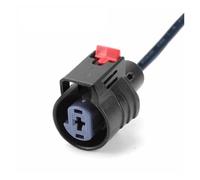 Arnés Bobina Encendido Para GM Para Buick Para Auto Conector Electrónico Motores Encendido Arranque Cable Arnés Enchufe 2098198-5 19300471