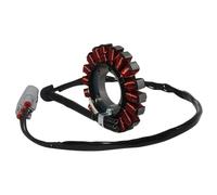 Arnés cableado eléctrico Bobina Estator Encendido Motor Eléctrico Generador Motocicleta 12318396695 para S1000RR K67 2018 2019 2020 S1000XR K69 2018 2019