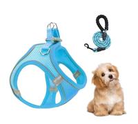 Arnés Canino con Correas Chaleco Reflectante Antihuida Transpirable | Arnés De Chaleco Reflectante Sin Ahogo Para Mascotas Para Cachorros Senderismo Entrenamiento Aire Traje de perro - Blue XS