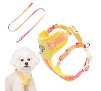 Arnés Canino ligero - Arnés de educación canina - Chaqueta transpirable y ajustable para senderismo, viaje en coche, parque deportivo, tamaño pequeño al aire libre