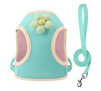 Arnés chaleco para perro - arnés reflectante para gatos, correas para perros y dibujos animados transpirables para mascotas al aire libre Paseo de viaje playa noche parque uso diario