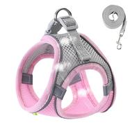 Arnés chaleco para perros - Arnés de caminata para perros reflectante | Chaleco de seguridad transpirable para los tiempos, ropa para mascotas de alta visibilidad para perros pequeños