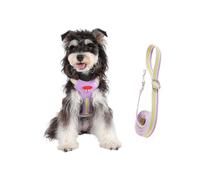 Arnés Chaqueta para Perro | Accesorios Para Mascotas Ajustables Y Transpirable | Arneses-Chaleco con Set De Cuerda De Entrenamiento Para Perro | Para Actividades Compras Carreras Paseos