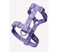 Arnés Clásico Violet (Essentials) L