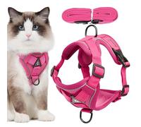 Arnés Con Correa De Paseo Y Jogging Para Gatos Y Perros De Raza Pequeña | Arnés De Paseo Para Gatitos Y Correa Para Gatos Paseo Senderismo Entrena