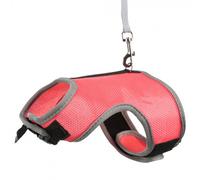 Arnés + Correa Elástica para Roedores - Tamaño: XL