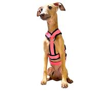 Arnés de 3 Puntos Antiescape Antitirones - Ideal para Lebreles: Galgo Italiano, Whippet, Galgo, Podenco - Seguro, Transpirable y Duradero Caminar, Entrenar y Correr - Rosa, S