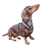 Arnés de 3 Puntos Antiescape Antitirones - Ideal para: Teckel, Galgo Italiano, Whippet, Galgo, Podenco - Seguro, Transpirable y Duradero - Perfecto para Caminar, Entrenar y Correr - ANTRACITA, XS