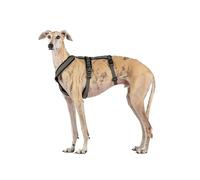 Arnés de 3 Puntos Antiescape Antitirones - Ideal para: Teckel, Galgo Italiano, Whippet, Galgo, Podenco - Seguro, Transpirable y Duradero - Perfecto para Caminar, Entrenar y Correr - ANTRACITA, XL