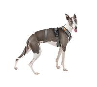 Arnés de 3 Puntos Antiescape Antitirones - Ideal para: Teckel, Galgo Italiano, Whippet, Galgo, Podenco - Seguro, Transpirable y Duradero - Perfecto para Caminar, Entrenar y Correr - ANTRACITA,M
