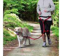 Arnés de abdomen con correa para perros medianos y grandes. Arnés: 70-120 cm/12 cm, Correa: 1,10-1,50 m/20 mm negro/grafito