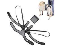 Arnés de asistencia para perros - Modelo con mango resistente, ajustable, elástico y cómodo, ideal para apoyar las patas traseras para facilitar la movilidad de los animales | Indoor Outdo