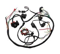 Arnés de cableado eléctrico completo Solenoide de bobina CDI para GY6 150cc 200cc 250cc ATV Quad Buggy Go Kart