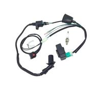 Arnés de cableado for motores A02K, interruptor de apagado, bobina de encendido CDI apto for 50Cc-160Cc SSR Kick Start Pit Dirt Bike