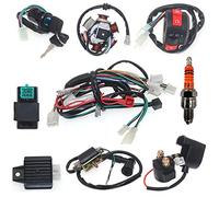 Arnés de cables completo de 6 bobinas de estator CDI para 49 cc, 50 cc, 70 cc, 90 cc, 110 cc, 125 cc, 150 cc, GY6, Taotao, Kazuma, Baja, ATV, duna, buggy, Go Kart, scooter, pit bike, quad, ciclomotor,