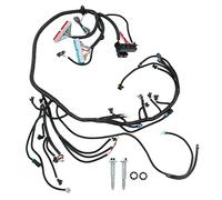 Arnés de cables independiente T56 DBC Drive By Wire Arnés de cables profesional de alto rendimiento para motor LS 4.8 5.3 6.0 Hecho de ABS y piezas metálicas