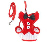 Arnés de Chaleco para Gatos con Correa Ajustable Chaleco para Caminar para Mascotas a Prueba de Escapes Malla Suave y Transpirable Ajuste cómodo para Gatos pequeños y medianos 2,5 (Metro)