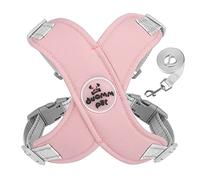 Arnés de chaleco para perros pequeños, gatos, sin tirones, reflectante, arnés para mascotas, fácil control, con correa y anillo en D de metal, chaleco de aire y correa, sin tirones, para niños y niñas