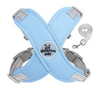 Arnés de chaleco para perros pequeños, gatos, sin tirones, reflectante, arnés para mascotas, fácil control, con correa y anillo en D de metal, chaleco de aire y correa, sin tirones, para niños y niñas