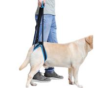 Arnés de elevación para perro, correa portátil para patas traseras, soporte de elevación y arnés de rehabilitación, discapacidades y para lesiones débiles en la parte trasera